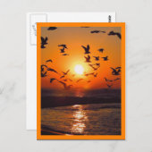 Carte Postale Bordure orange de la scène du coucher du soleil (Devant / Derrière)