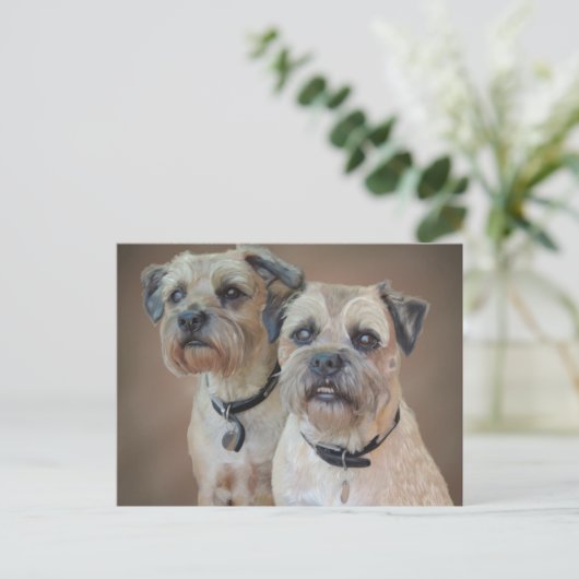 Carte postale Bordure Terrier (Debout devant)