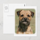 Carte Postale Bordure Terrier 9Y325D-038 (Devant / Derrière)
