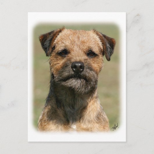 Carte Postale Bordure Terrier 9Y325D-038 (Devant)