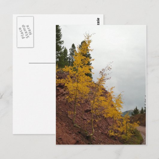 Carte Postale boreas pass aspens (Devant / Derrière)