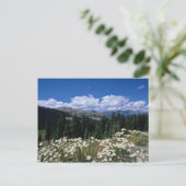 Carte Postale Boreas Pass blanc, Breckenridge fleurs (Debout devant)