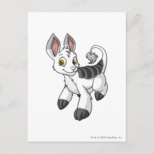 Carte Postale Bori Blanc (Devant)