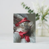 Carte postale Boris the Cute Nubber Kitty (Debout devant)