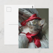 Carte postale Boris the Cute Nubber Kitty (Devant / Derrière)