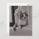 Carte postale Boris the Cute Nubber Kitty (Devant / Derrière)