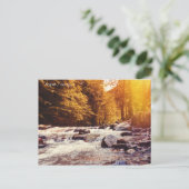 Carte Postale Borjomi, Géorgie (Debout devant)