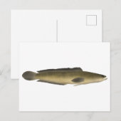 Carte Postale Borna Snakehead (Devant / Derrière)