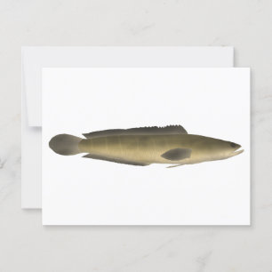 Carte Postale Borna Snakehead