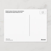 Carte Postale Borneo Proboscis Singe Indonésie Faune (Dos)