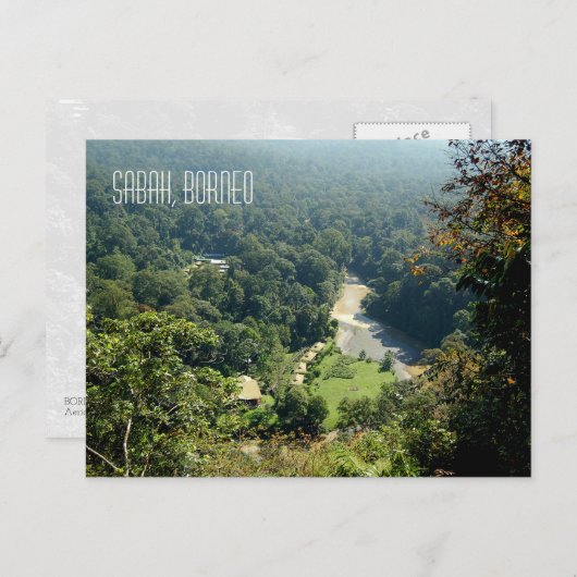 Carte Postale Borneo Rainforest Jungle Vue aérienne (Devant / Derrière)