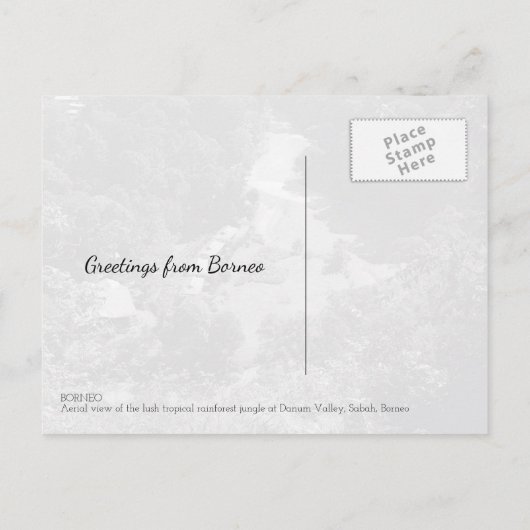 Carte Postale Borneo Rainforest Jungle Vue aérienne (Dos)