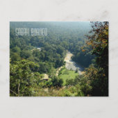 Carte Postale Borneo Rainforest Jungle Vue aérienne (Devant)