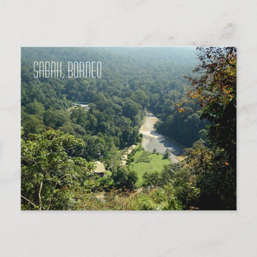 Carte Postale Borneo Rainforest Jungle Vue aérienne (Devant)