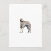 Carte Postale Borzoi (Devant)