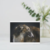 Carte Postale borzoi (Debout devant)
