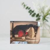 Carte postale Borzoi confortable (Debout devant)