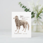 Carte Postale Borzoi - noix (Debout devant)