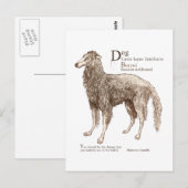 Carte Postale Borzoi - noix (Devant / Derrière)
