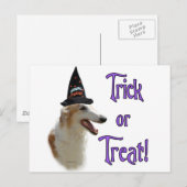 Carte Postale Borzoi Trick (Devant / Derrière)