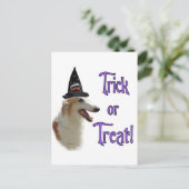 Carte Postale Borzoi Trick (Debout devant)