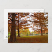 Carte Postale Boston (Devant / Derrière)