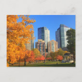 Carte Postale Boston Common à l'automne (Devant)