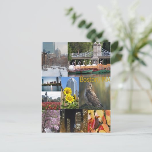 Carte Postale Boston, Massachusetts (Debout devant)