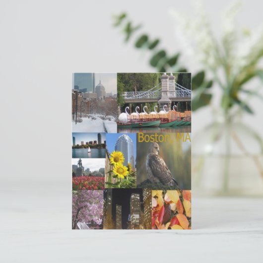 Carte Postale Boston, Massachusetts (Debout devant)