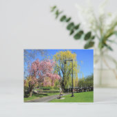 Carte Postale Boston, Massachusetts - Boston Gardens Post Card (Debout devant)