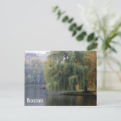 Carte Postale Boston Public Gardens (Debout devant)
