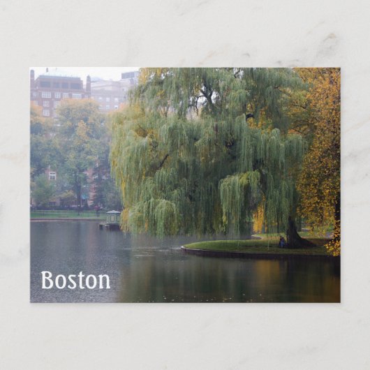 Carte Postale Boston Public Gardens (Devant)