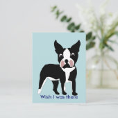Carte postale Boston Terrier (Debout devant)