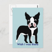 Carte postale Boston Terrier (Devant / Derrière)