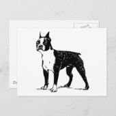 Carte Postale boston terrier (Devant / Derrière)