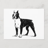 Carte Postale boston terrier (Devant)