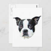 Carte Postale Boston Terrier (Devant / Derrière)