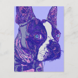 Carte postale Boston Terrier