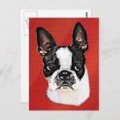 Carte Postale Boston Terrier (Devant / Derrière)