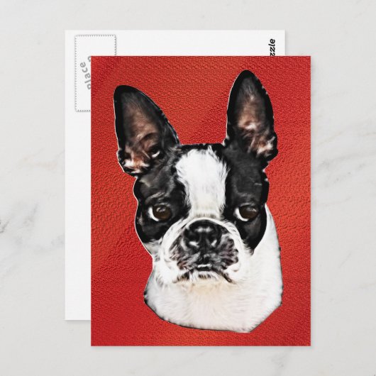 Carte Postale Boston Terrier (Devant / Derrière)