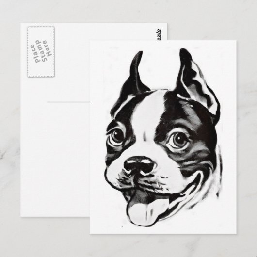 Carte postale Boston Terrier (Devant / Derrière)