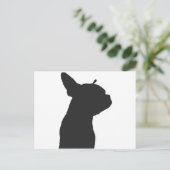 Carte Postale Boston Terrier (Debout devant)