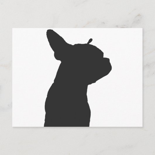 Carte Postale Boston Terrier (Devant)