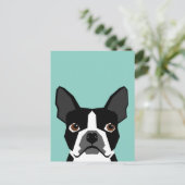 Carte Postale Boston Terrier (Debout devant)