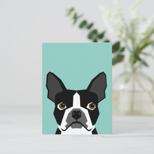 Carte Postale Boston Terrier (Debout devant)