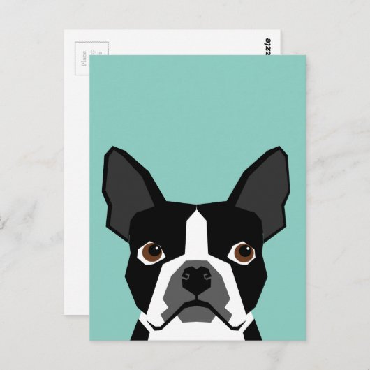 Carte Postale Boston Terrier (Devant / Derrière)
