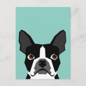Carte Postale Boston Terrier (Devant)