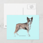 Carte Postale Boston Terrier (Devant / Derrière)