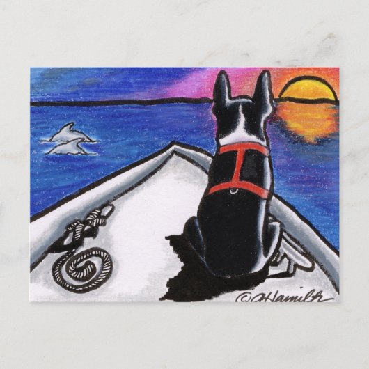 Carte Postale Boston Terrier Bateau Nautique Coucher de Soleil A (Devant)