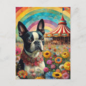 Carte Postale Boston Terrier Circus (Devant)